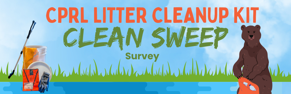 Clean Sweep Survey